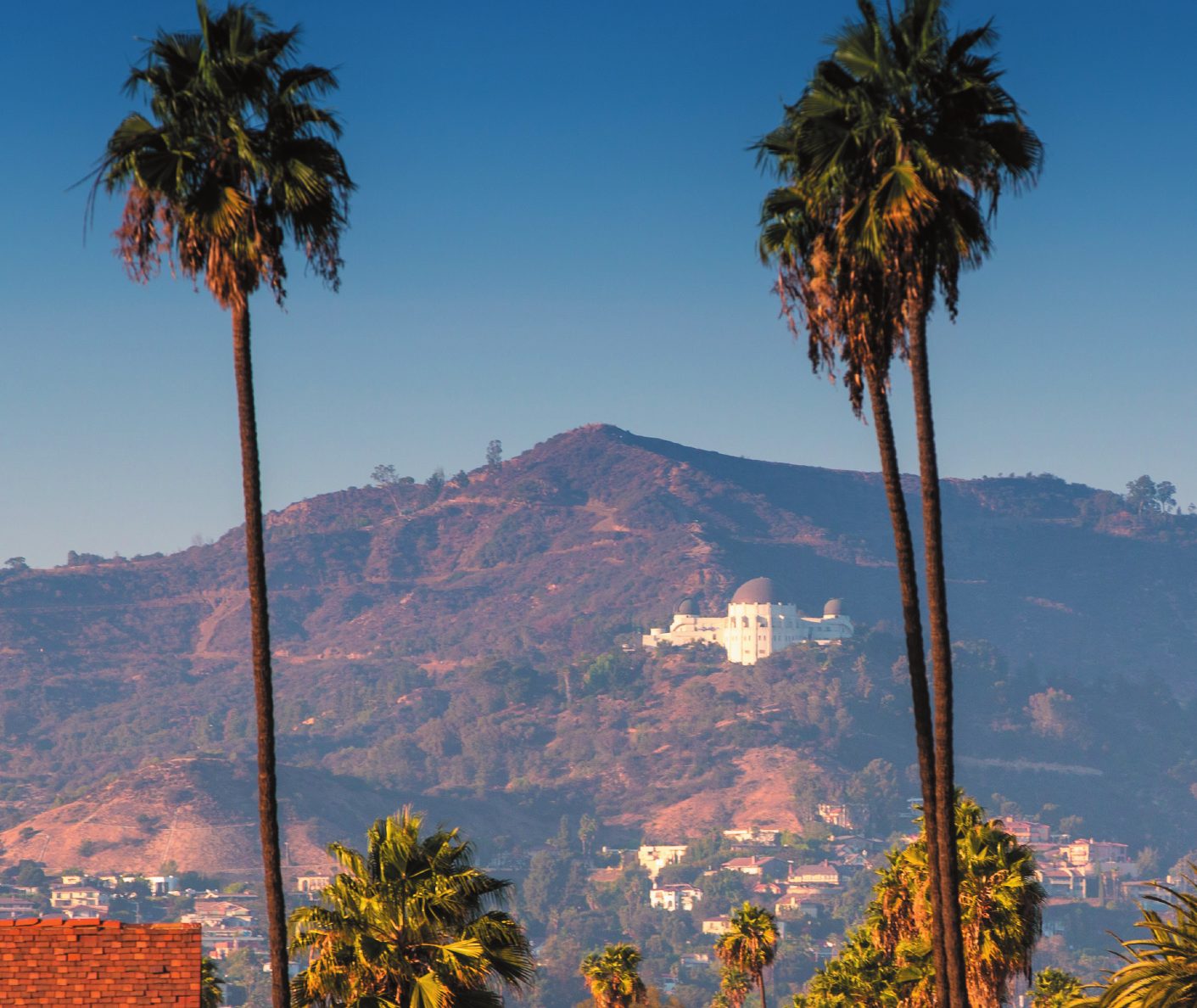 Two palm trees frame Griffith Observatory on a hillside above Los Angeles.